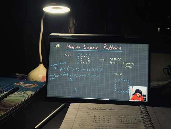 ¿Cómo elegir las plantas de interior adecuadas según la luminosidad de tu casa?