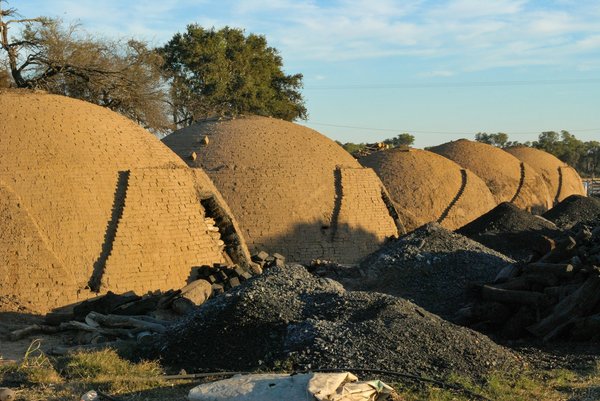 ¿Cómo puede la tecnología de gemelos digitales transformar la predicción y prevención de desastres naturales?